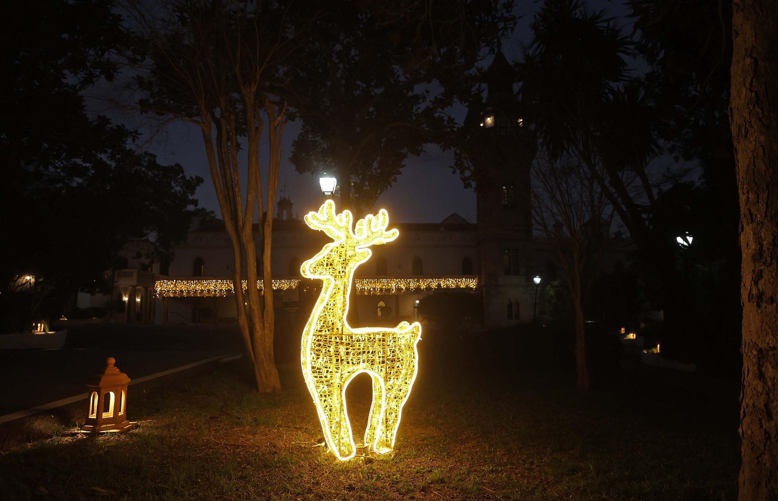 Fotos del concierto de Navidad de la Orquesta Andaluza en Castella