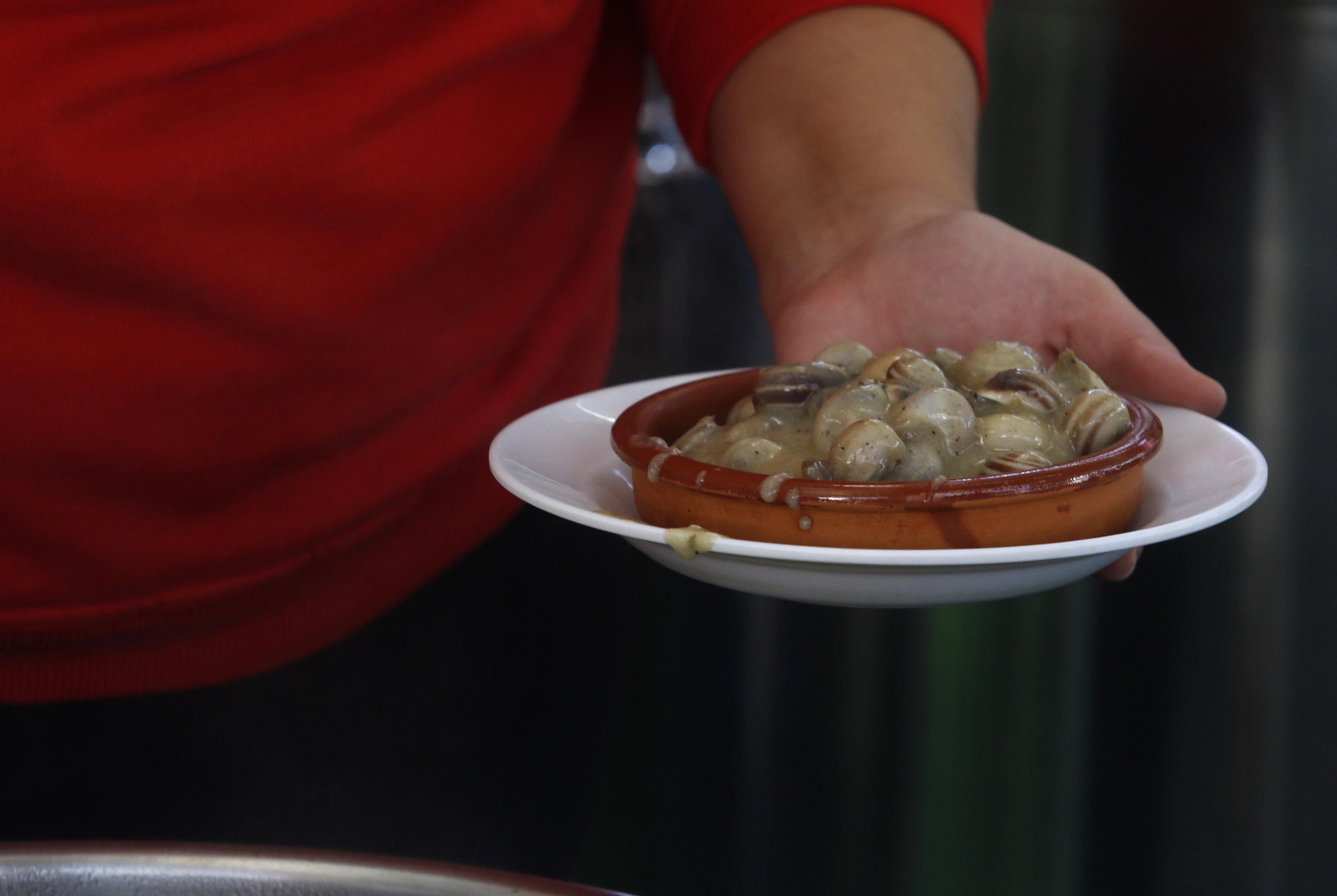 Fotografías: La temporada de caracoles arranca en Córdoba