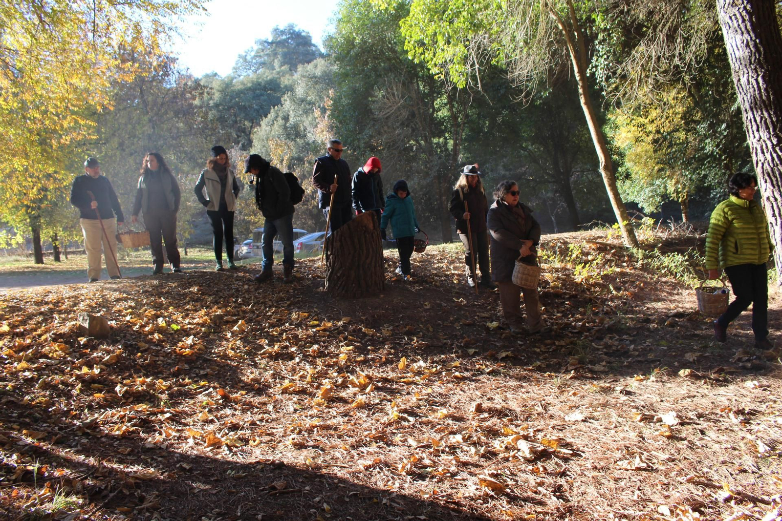 Ediciones anteriores de las Jornadas micológicas de Constantina