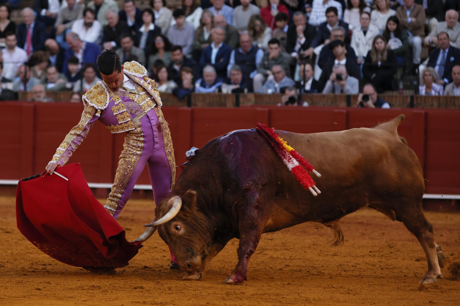 Las Imágenes del festejo