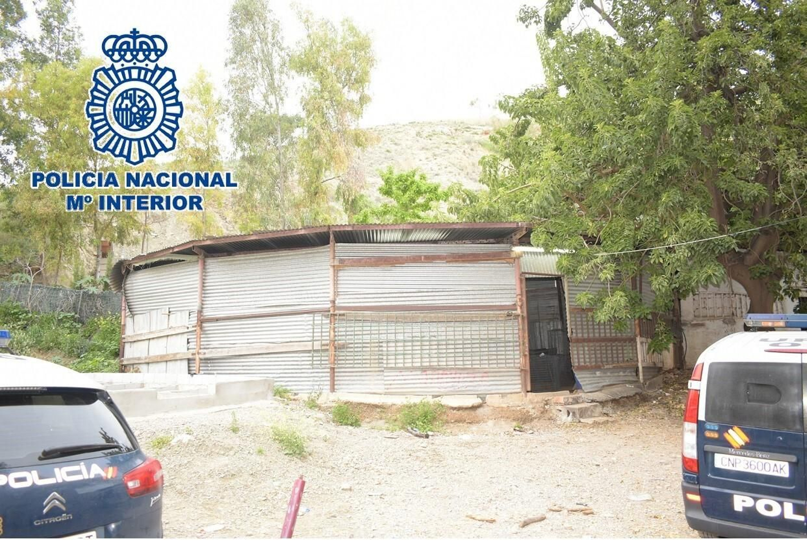 Ring donde celebraban la pelea de gallos