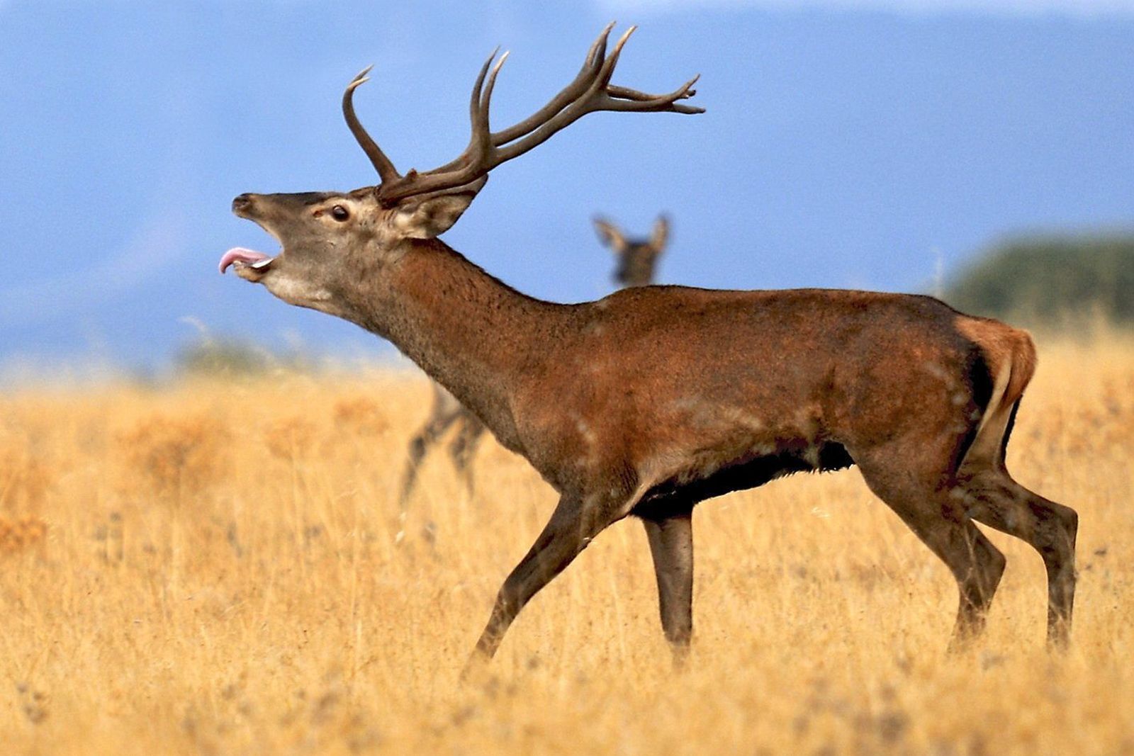 Agentes de Medio Ambiente y de la Guardia Civil durante una de las patrullas nocturnas en la sierra.