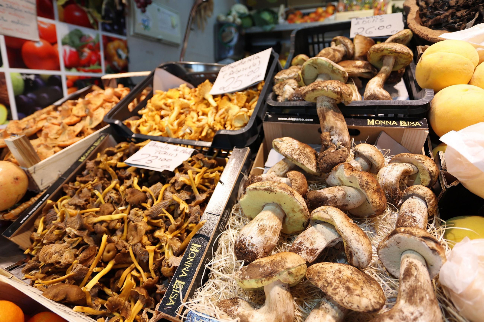 Setas comestibles de Huelva que querrás probar este otoño