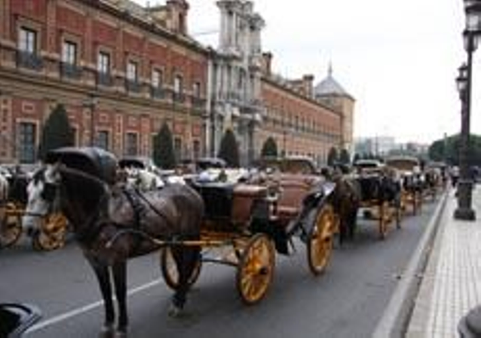 Los cocheros creen que no llegarán para las fiestas las nuevas dotaciones
