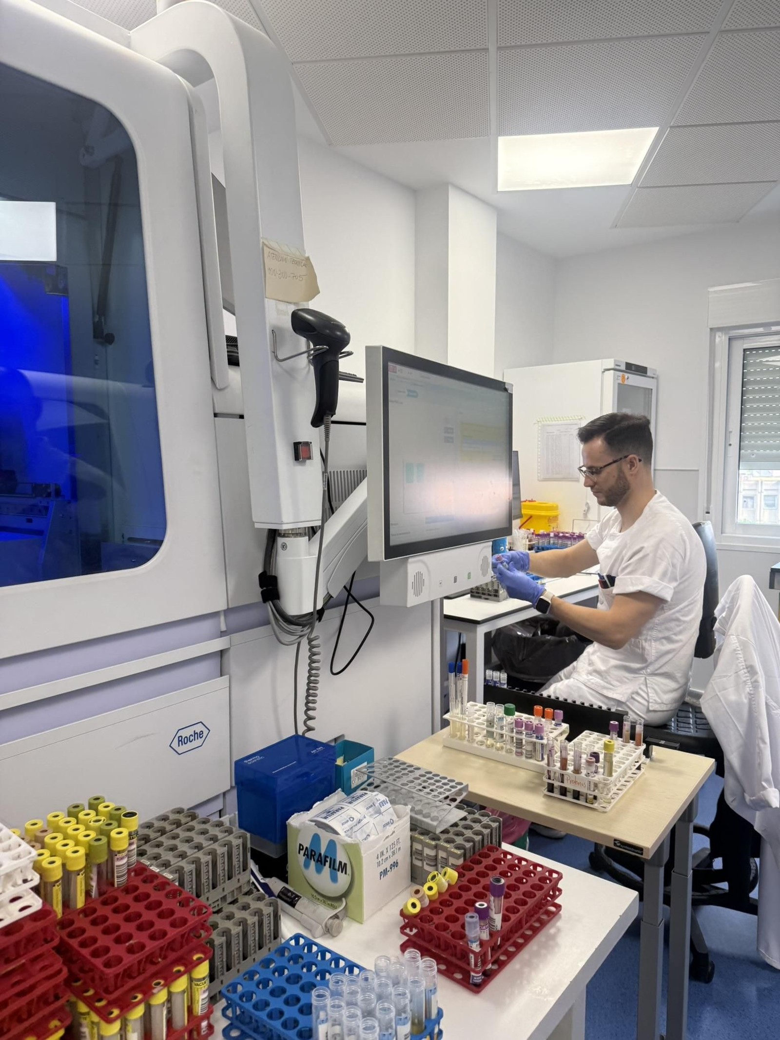 Pruebas dispuestas para su aánalisi en un laboratorio.