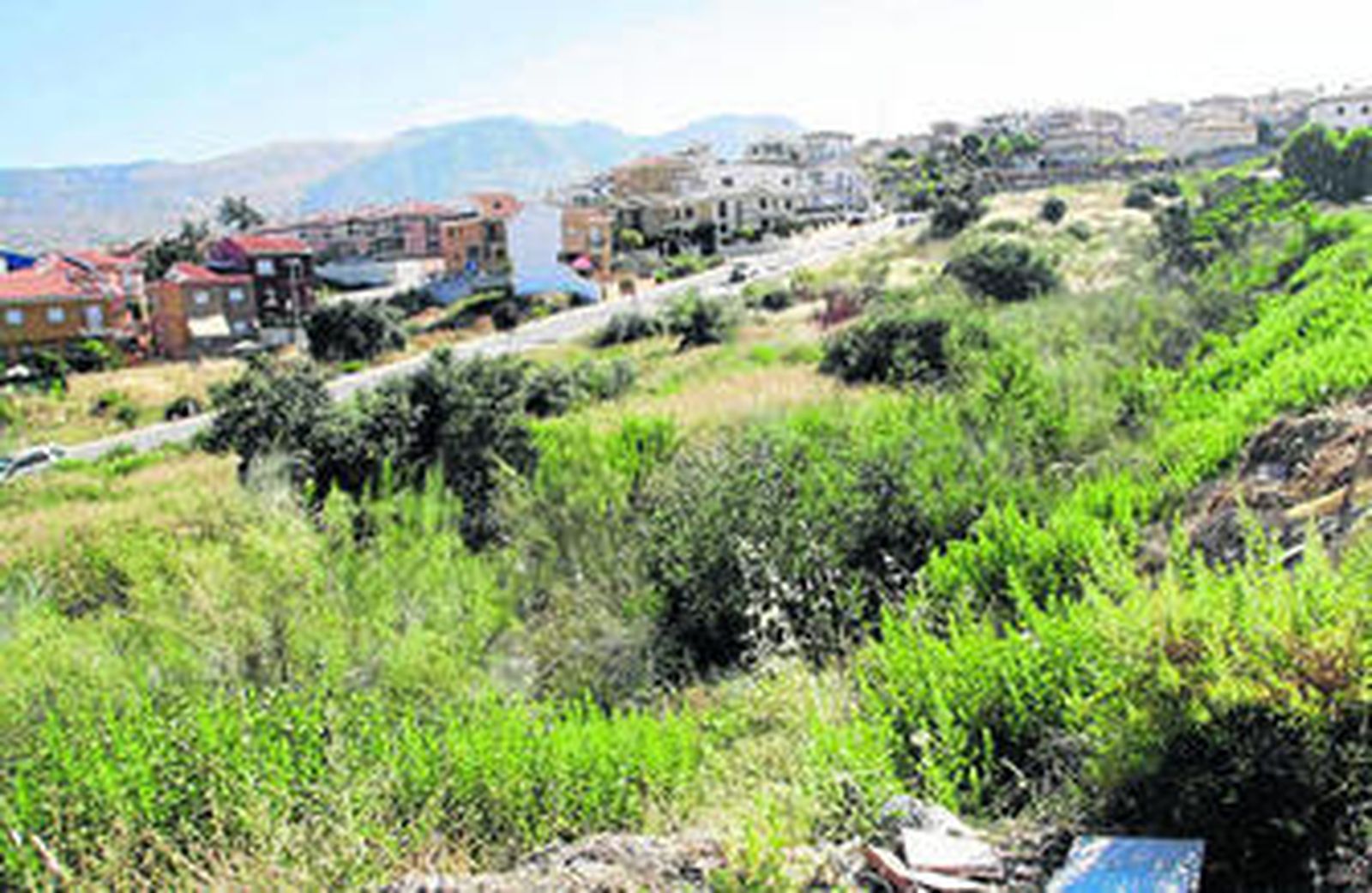 Estado actual de las parcelas sobre las que se iba a construir viviendas protegidas.