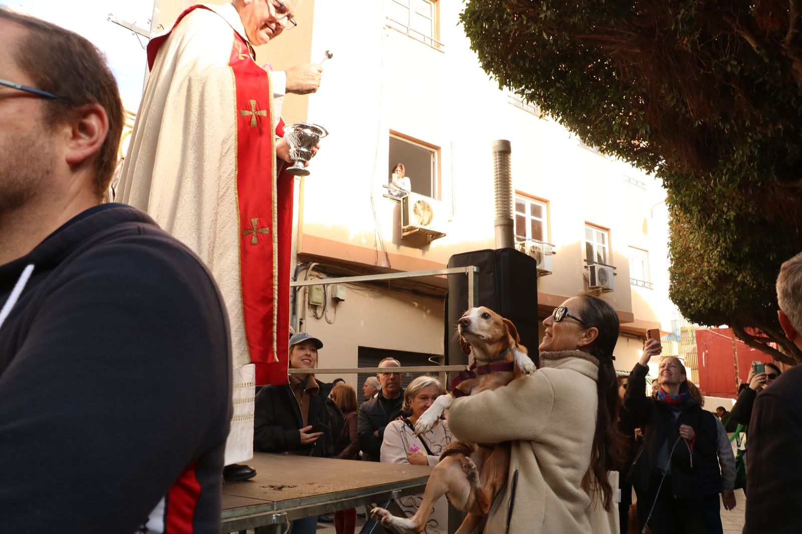 Así ha sido la bendición de las mascotas y la subasta de 'rabicos' en el casco histórico de Almería