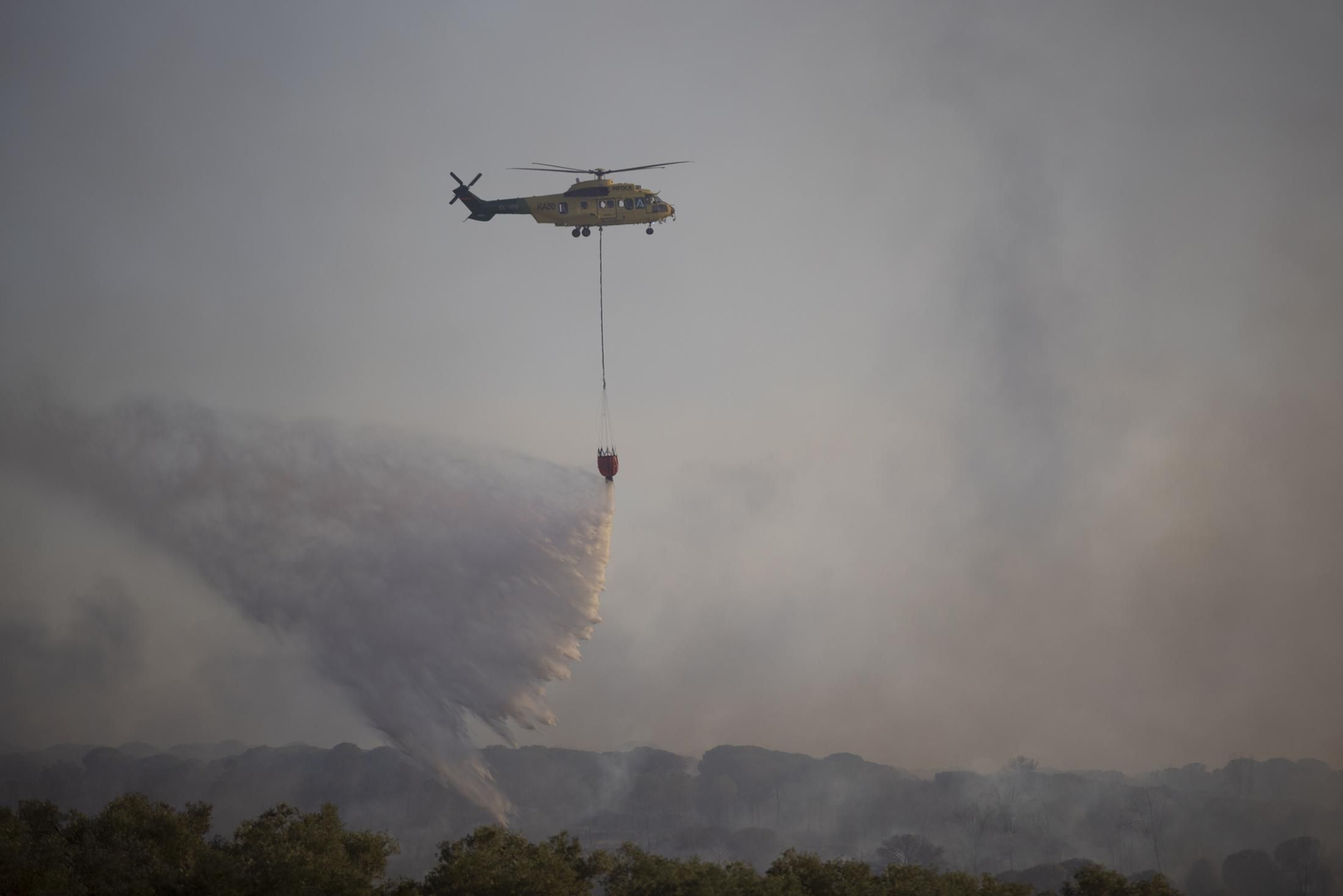 Imágenes del incendio de Bonares