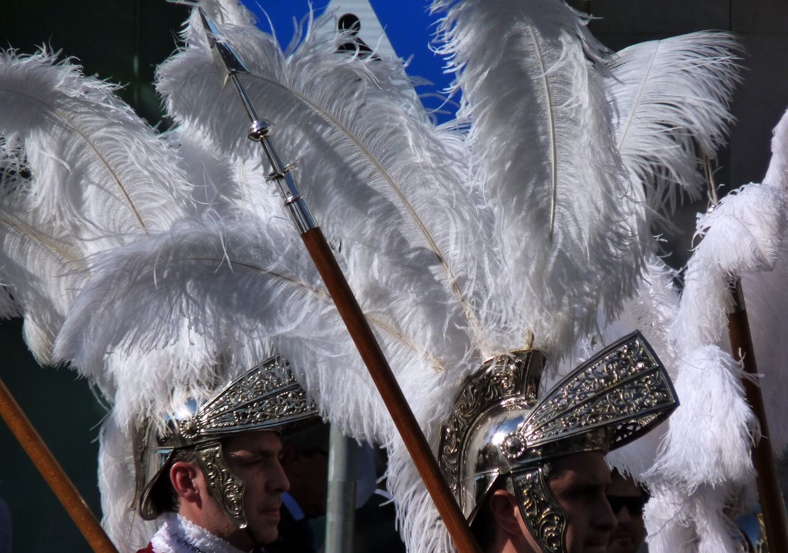 Las características plumas de los armaos de la Macarena.