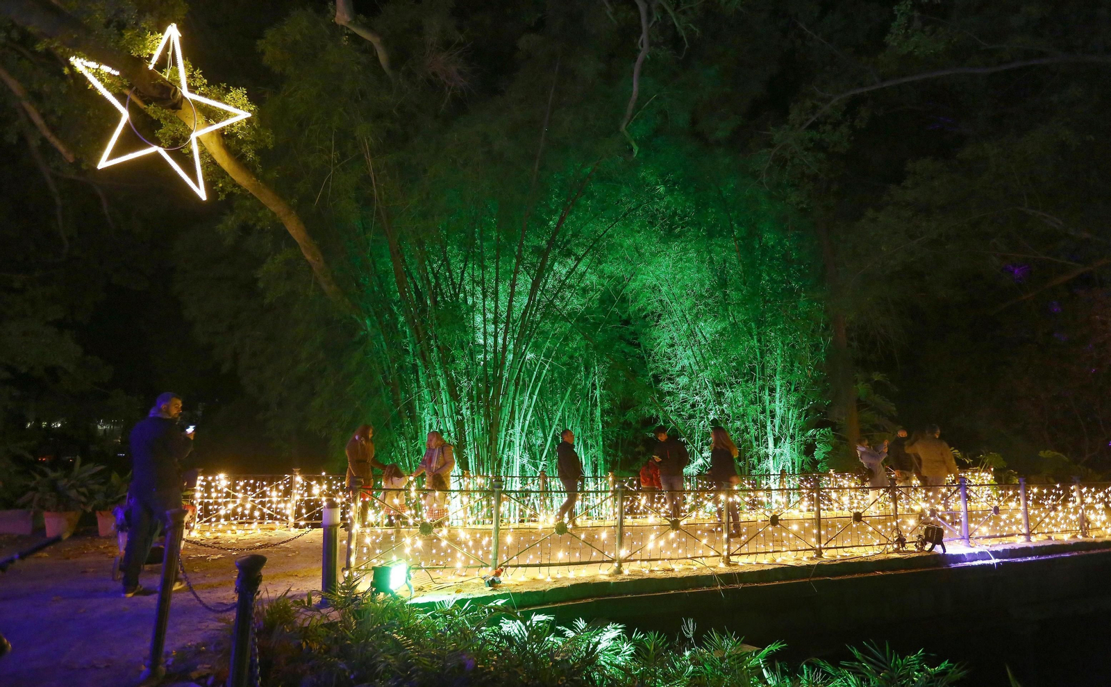 Las luces del Jardín Botánico de Málaga, en fotos
