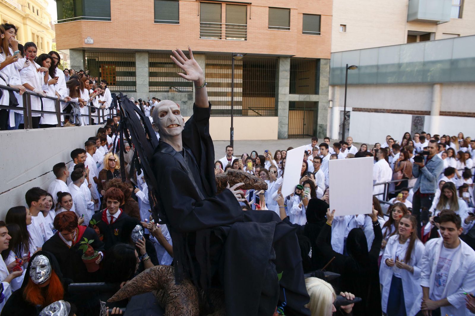 La imágenes del Lucas en el 'año Harry Potter'