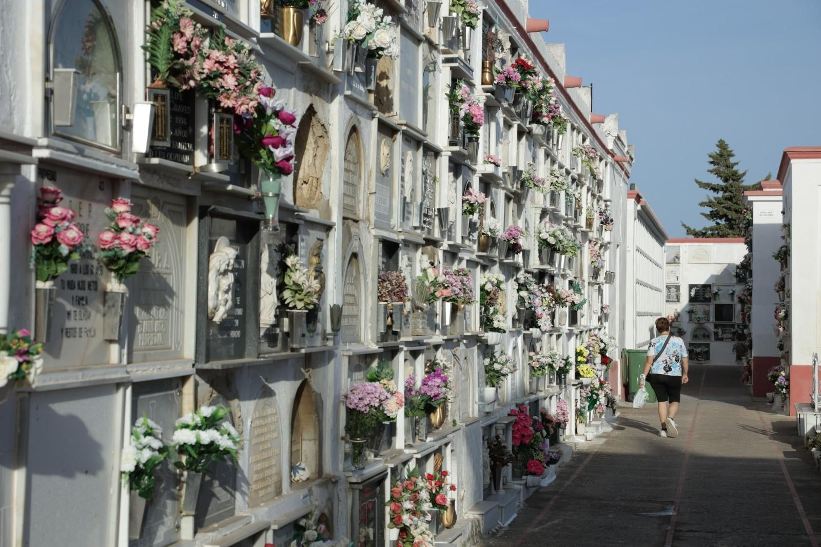 Interior del cementerio de San Fernando.