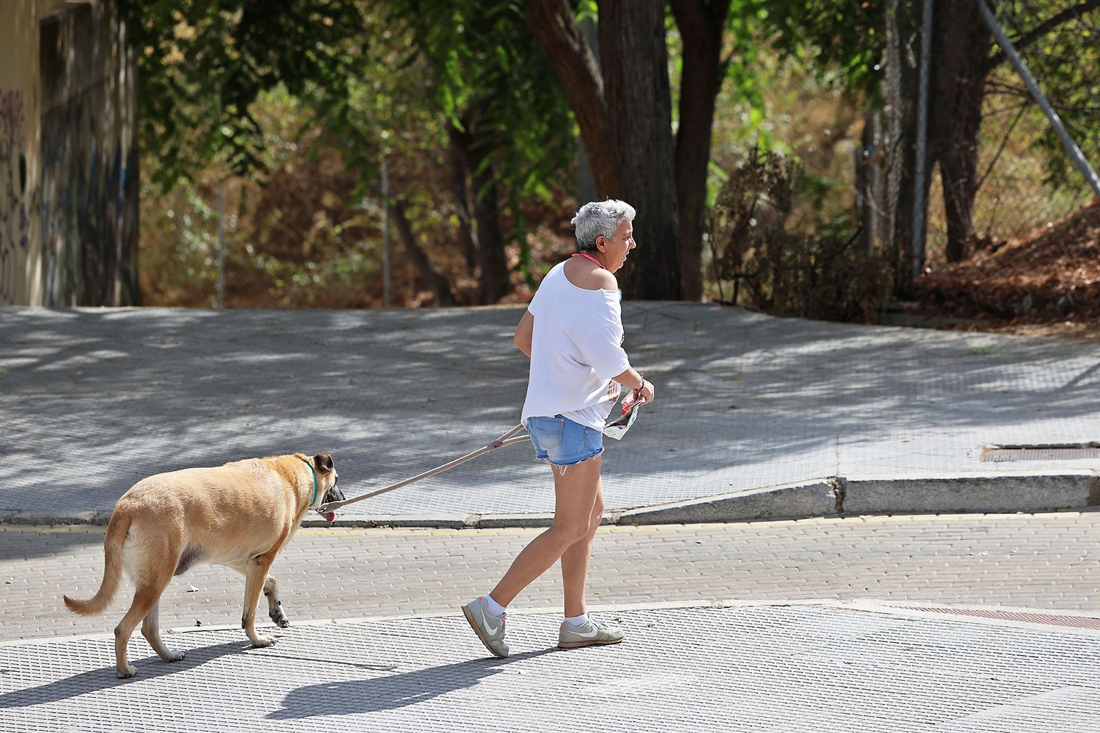 Las imágenes más destacadas del miércoles 25 de septiembre en Huelva