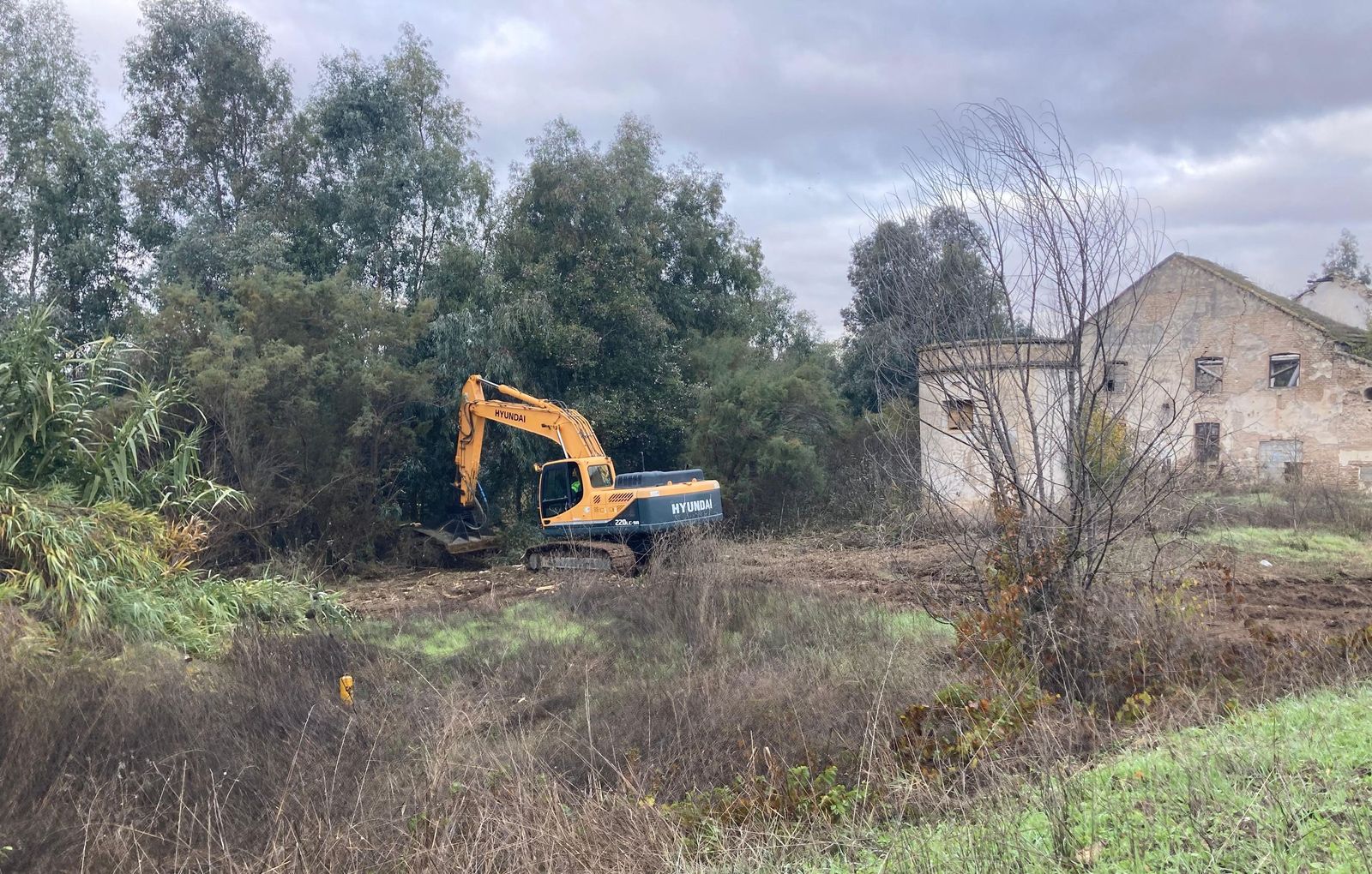 Desbroce de vegetación y retirada de sedimento en las inmediaciones del puente romano de Écija