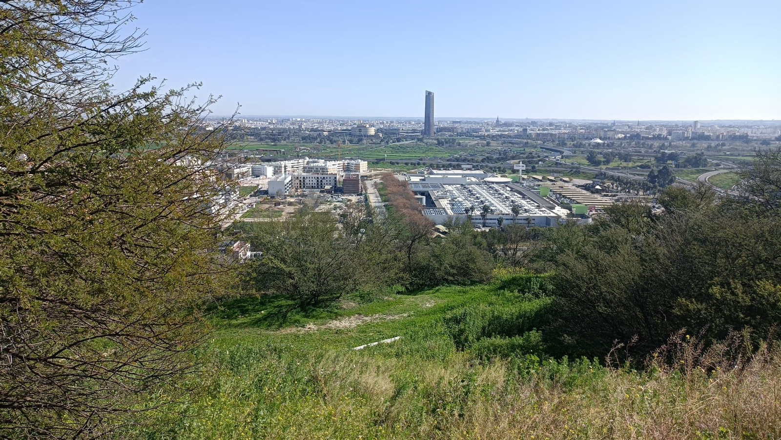 Vistas desde El Carambolo con Camas a sus pies y más allá Sevilla capital.