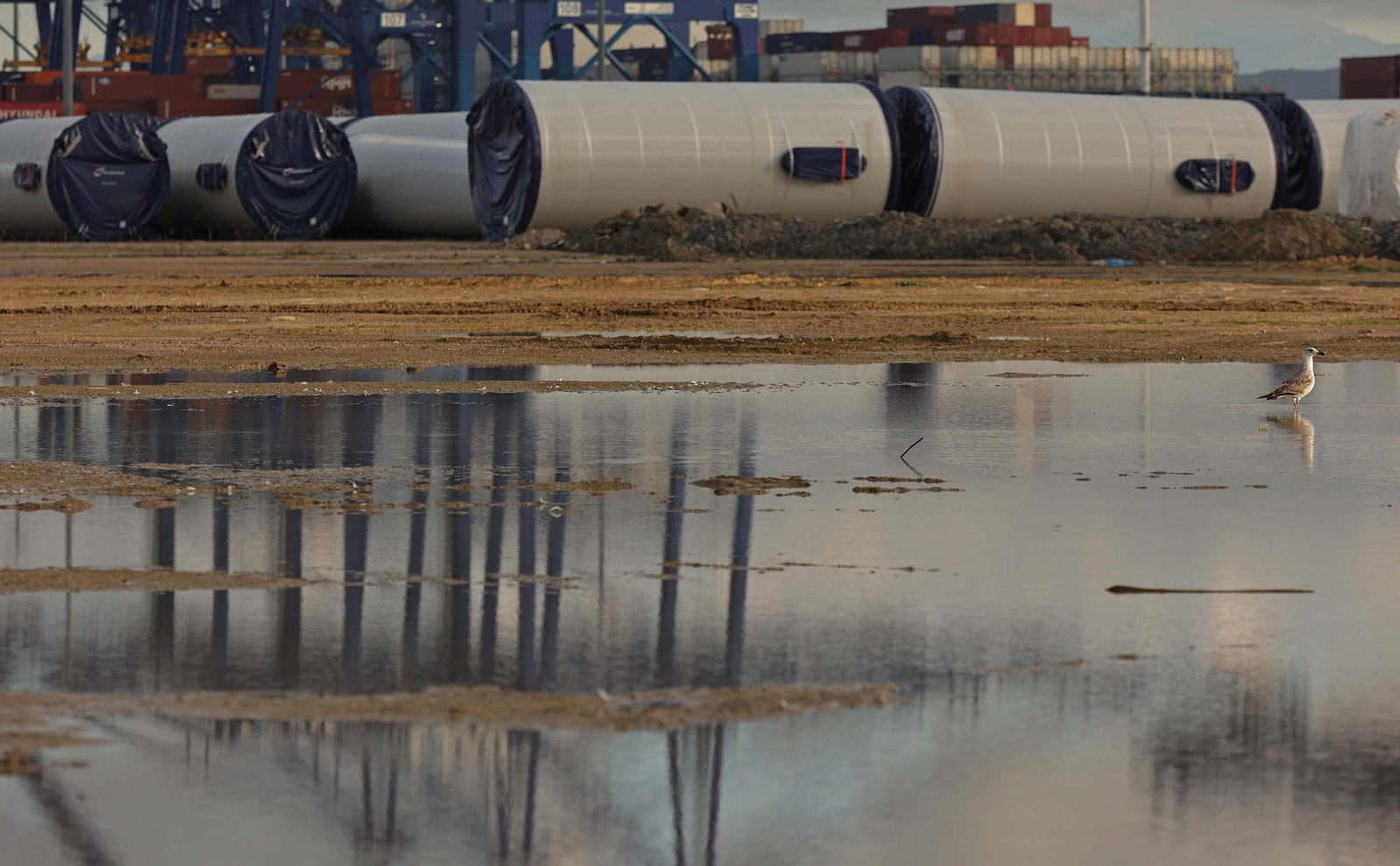 Los aerogeneradores descargados en el muelle de Isla Verde Exterior del Puerto de Algeciras, en imágenes