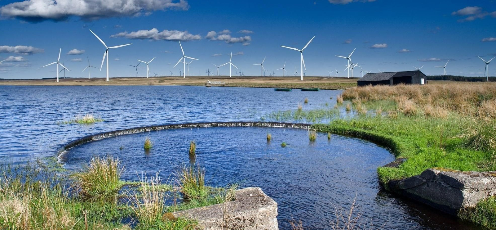Parque eólico de Iberdrola.