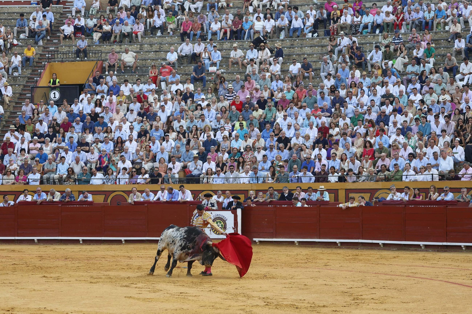 Emilio de Justo con un toro de La Palmosilla en la pasada Feria Real de Algeciras.