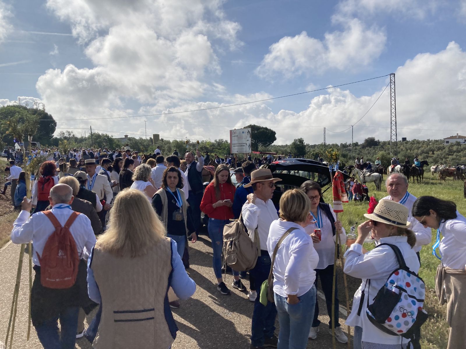 La romería de Veleras de Montoro, en imágenes