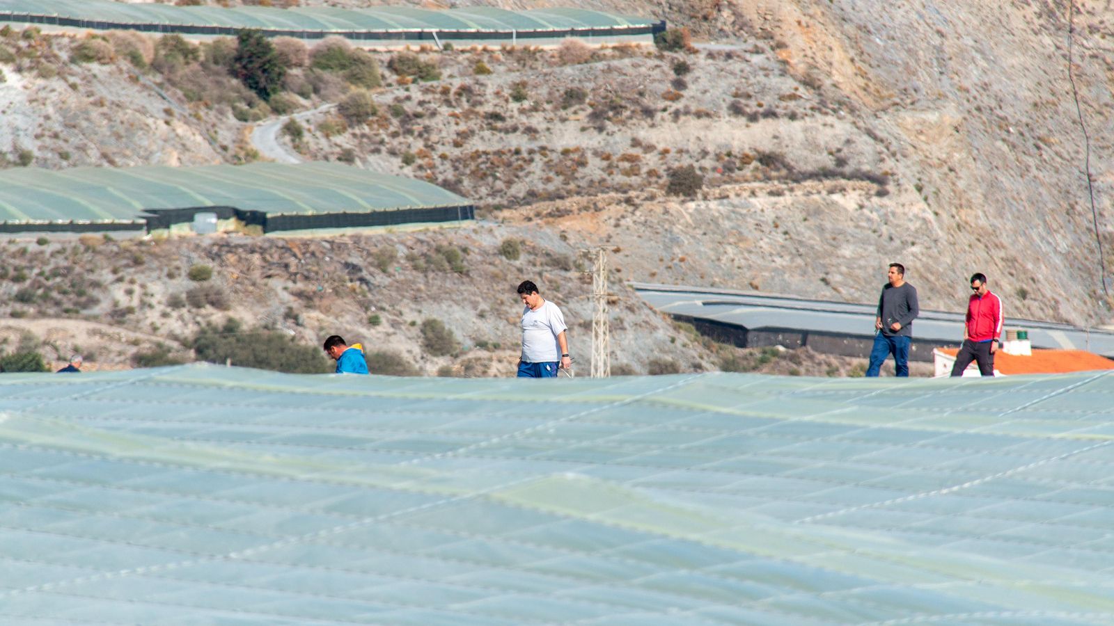 Varios agricultores reforzando los invernaderos de Carchuna Varios agricultores reforzando los invernaderos de Carchuna