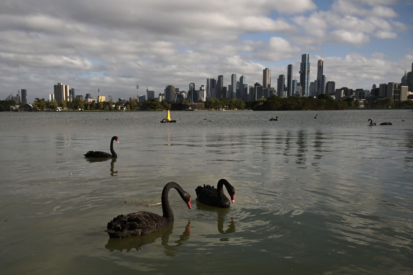 Las fotos de la nueva Fórmula 1