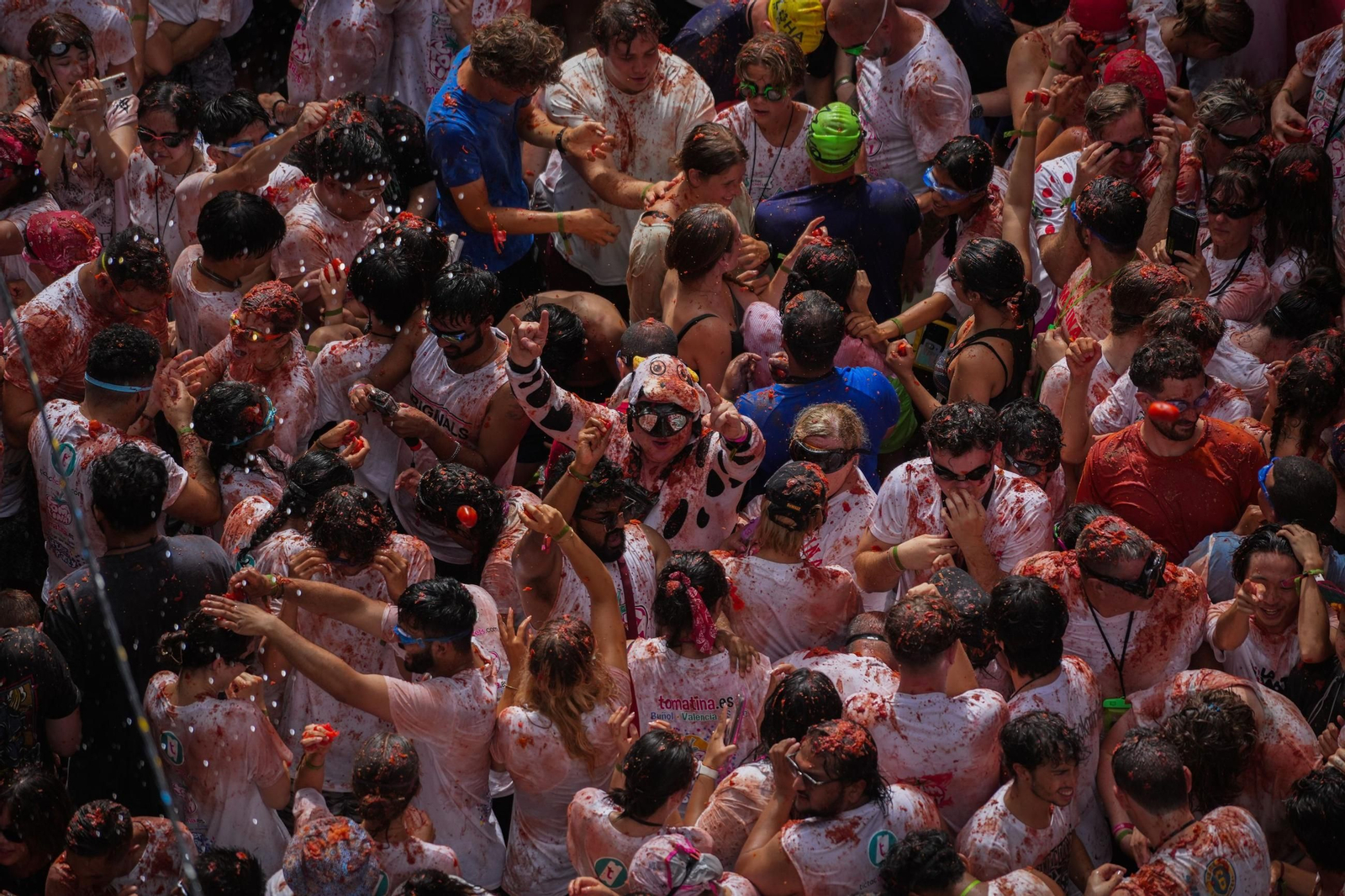 Las mejores fotos de la Tomatina de Buñuel 2025