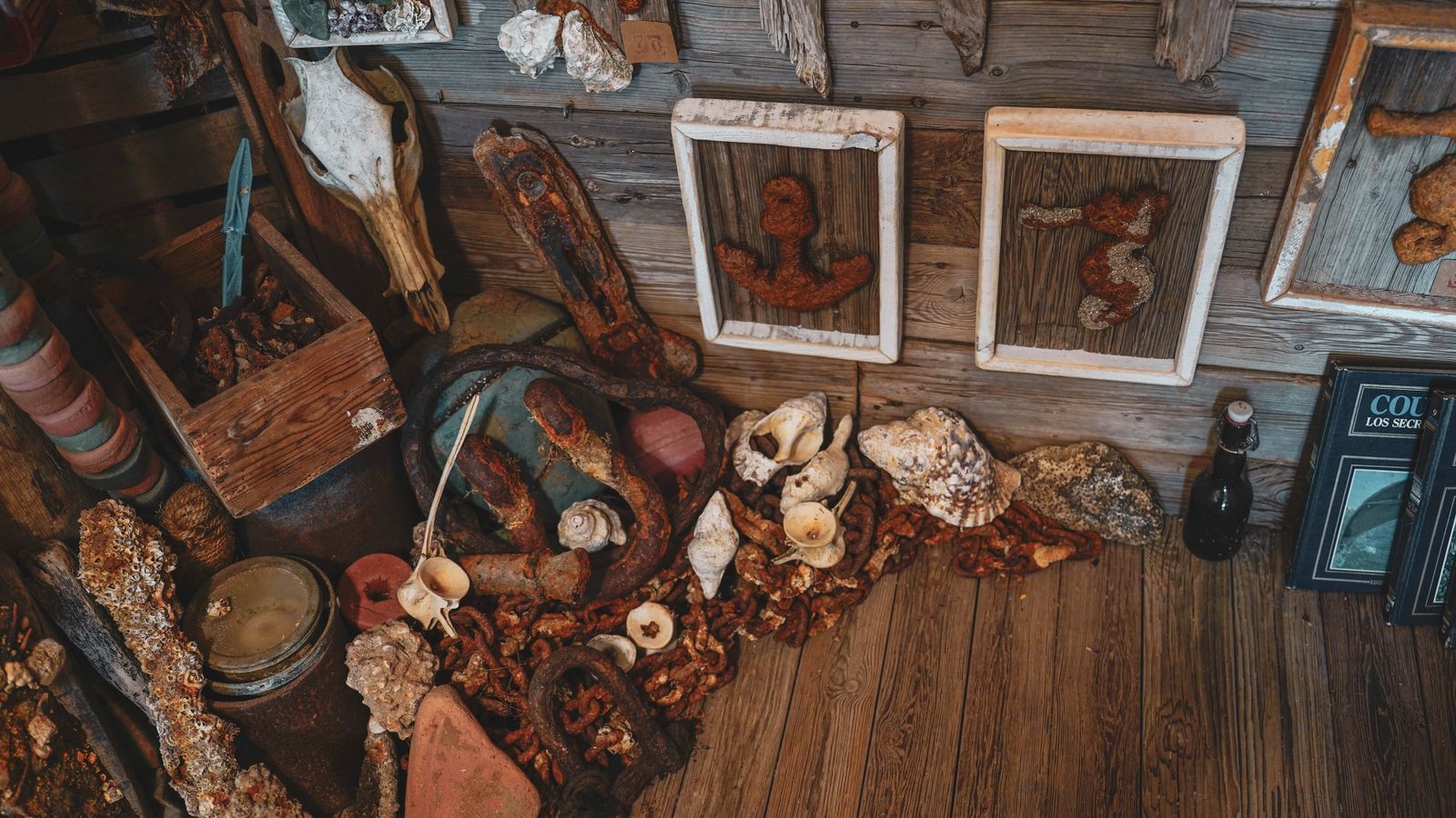 Tarifa Respira una asociación dedicada a la conservación y protección de Tarifa y sus alrededores