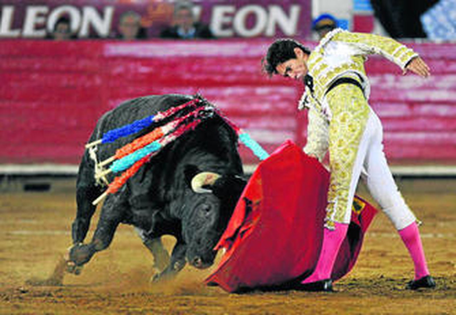 Diego Silveti, con el segundo de su lote, 'Charro Cantor', de 515 kilos, en la México.