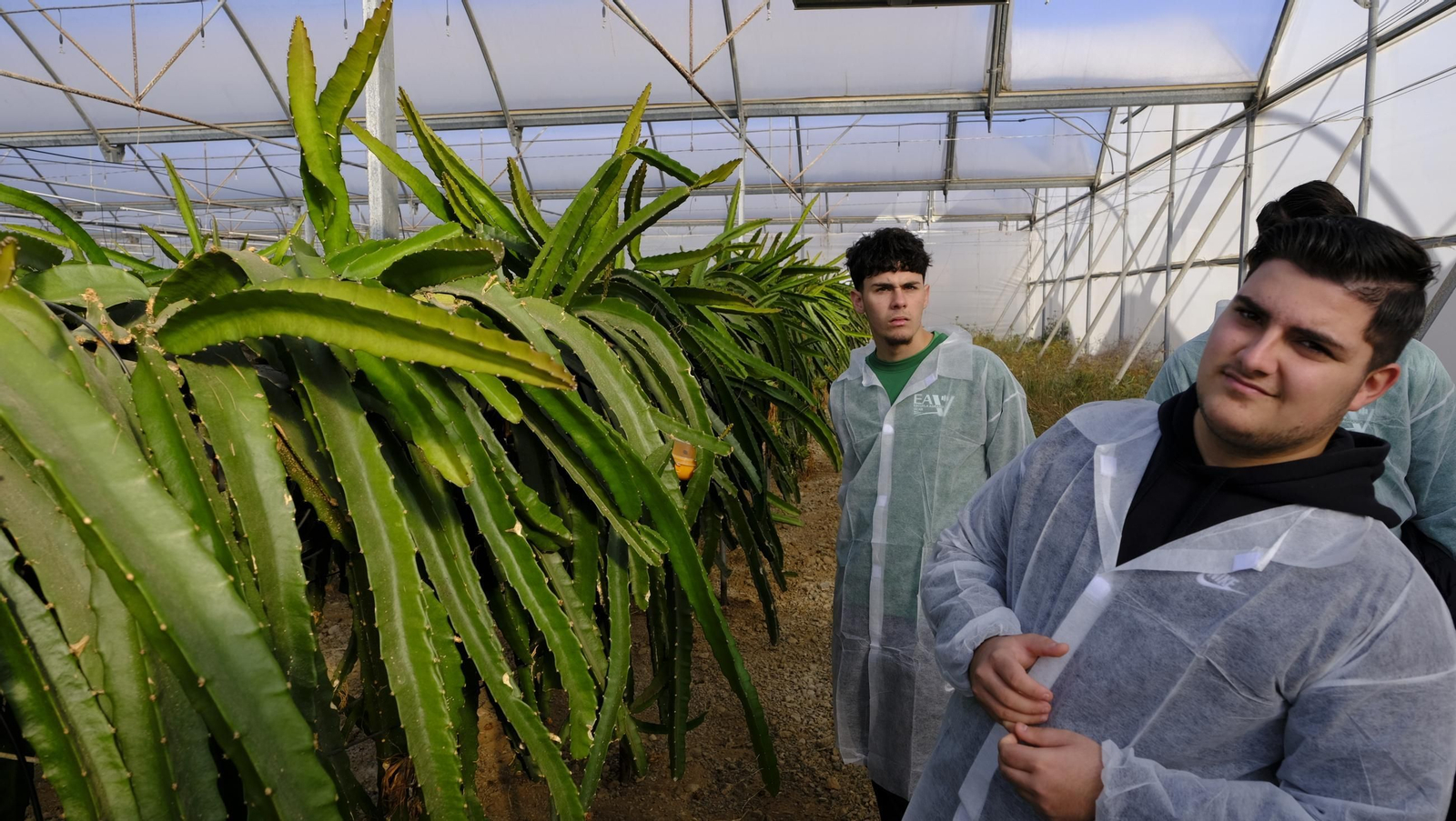 Jornada de puertas abiertas en la Estación Experimental Cajamar Las Palmerillas, en fotos