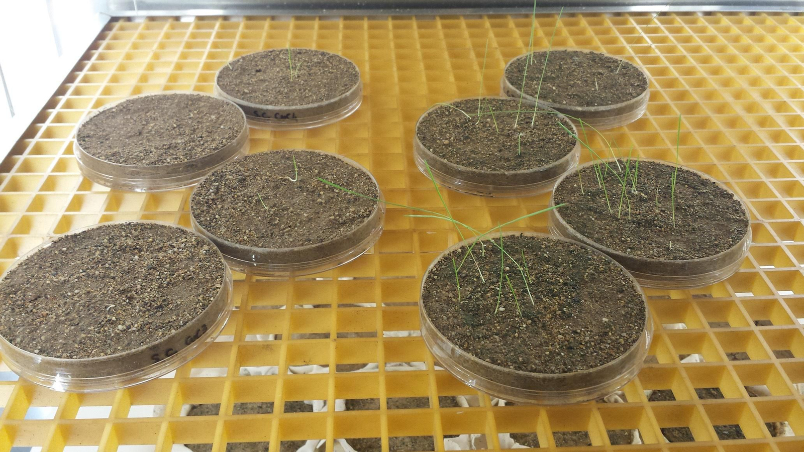 Placas usadas en el sistema Reconlod de Sando.