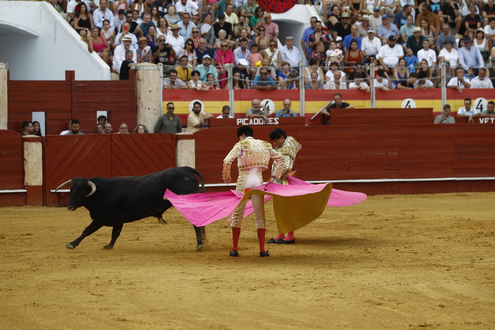 Las mejores imágenes de la clase práctica de la Escuela Municipal Taurina de Almería