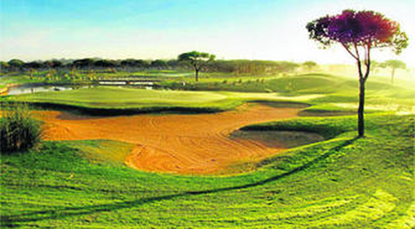Imagen del campo ubicado en la zona de La Barrosa, junto a la urbanización Novo Sancti Petri.