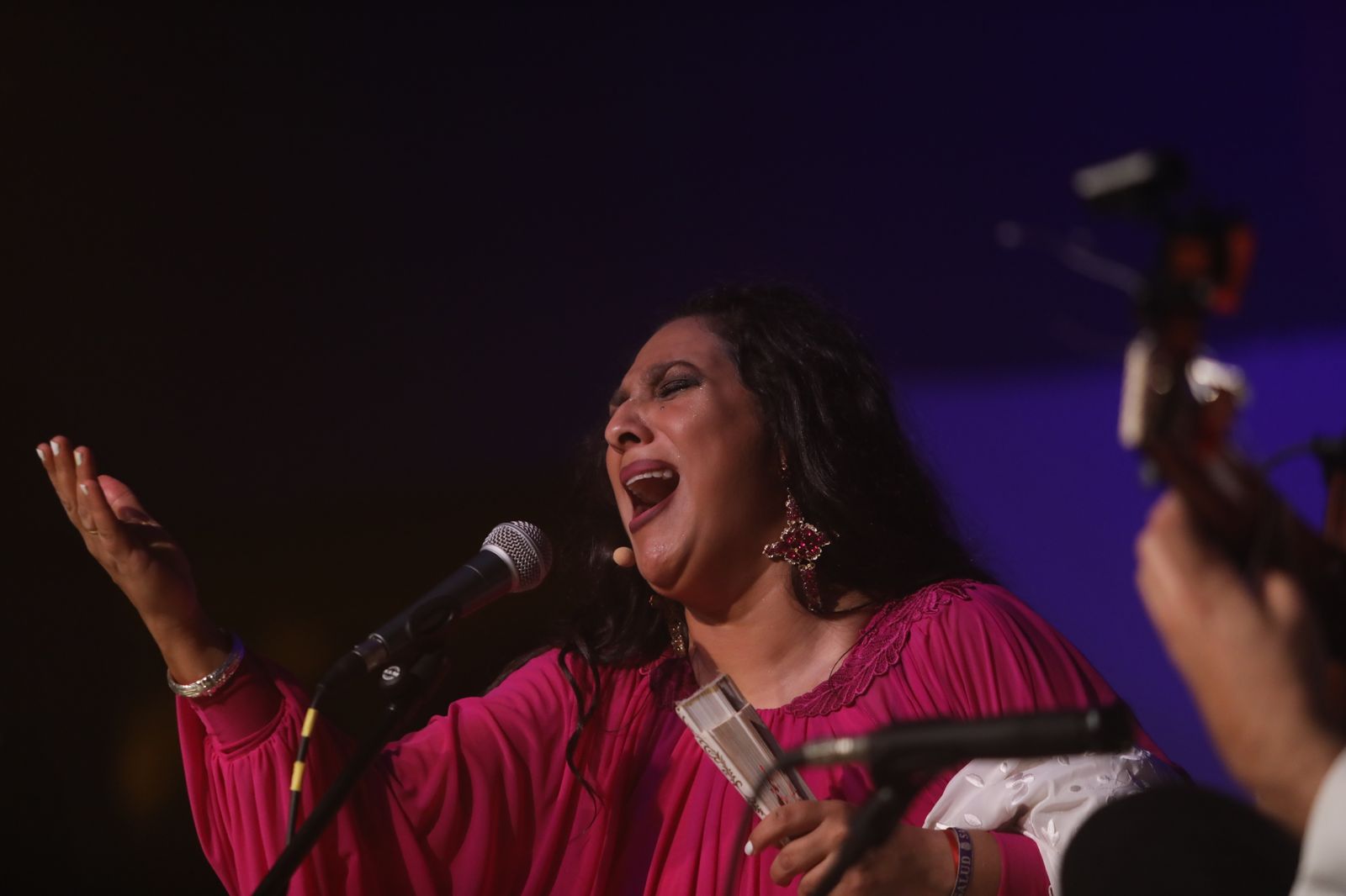 La noche flamenca en el Parque de San Fernando, en imágenes