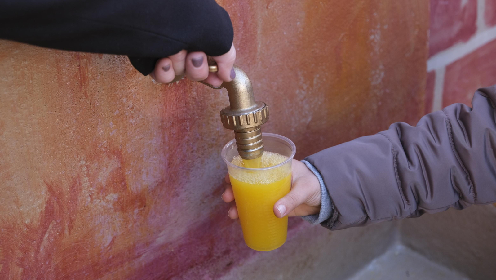 Imágenes del Día de la Naranja, en Gádor