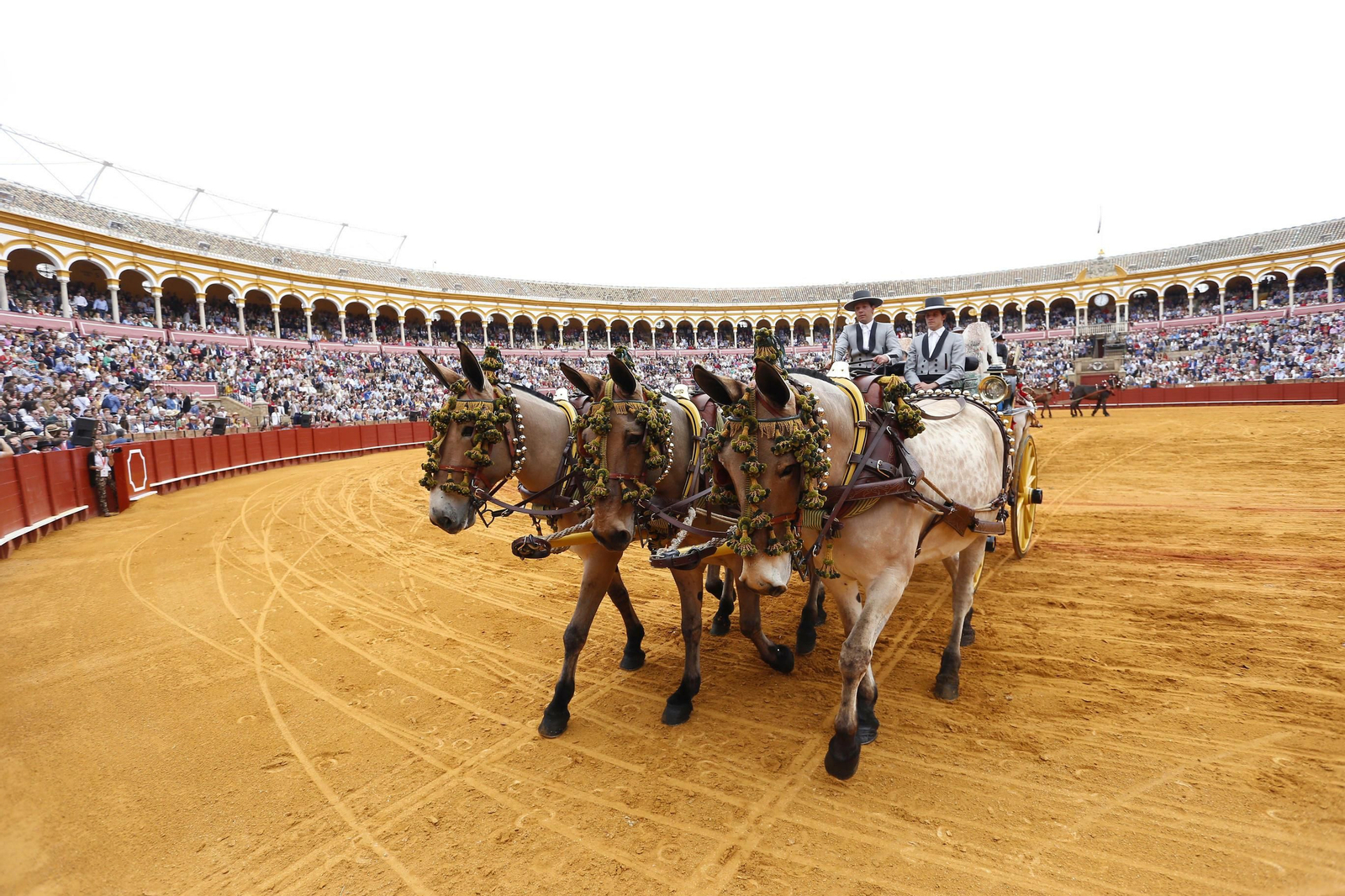 La 34º exhibición de enganches de la Feria de Sevilla en imágenes