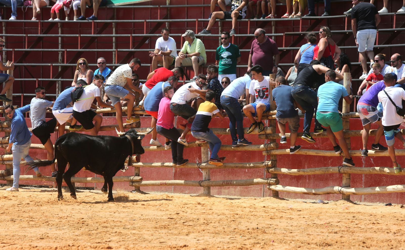 Capeas de Trigueros en imágenes