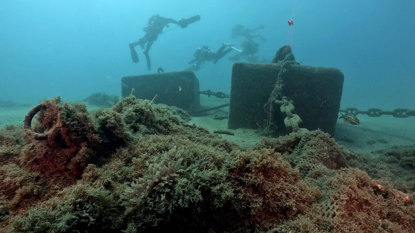 Comienza una campaña de retirada de artes y redes de fondos marinos frente a Salobreña