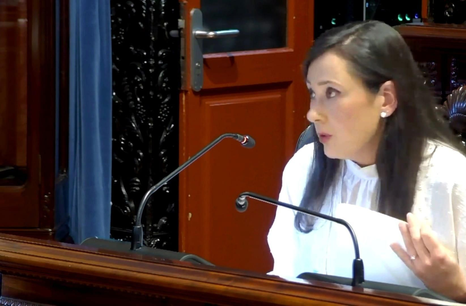 Rocío Arrabal, en el Pleno de junio.