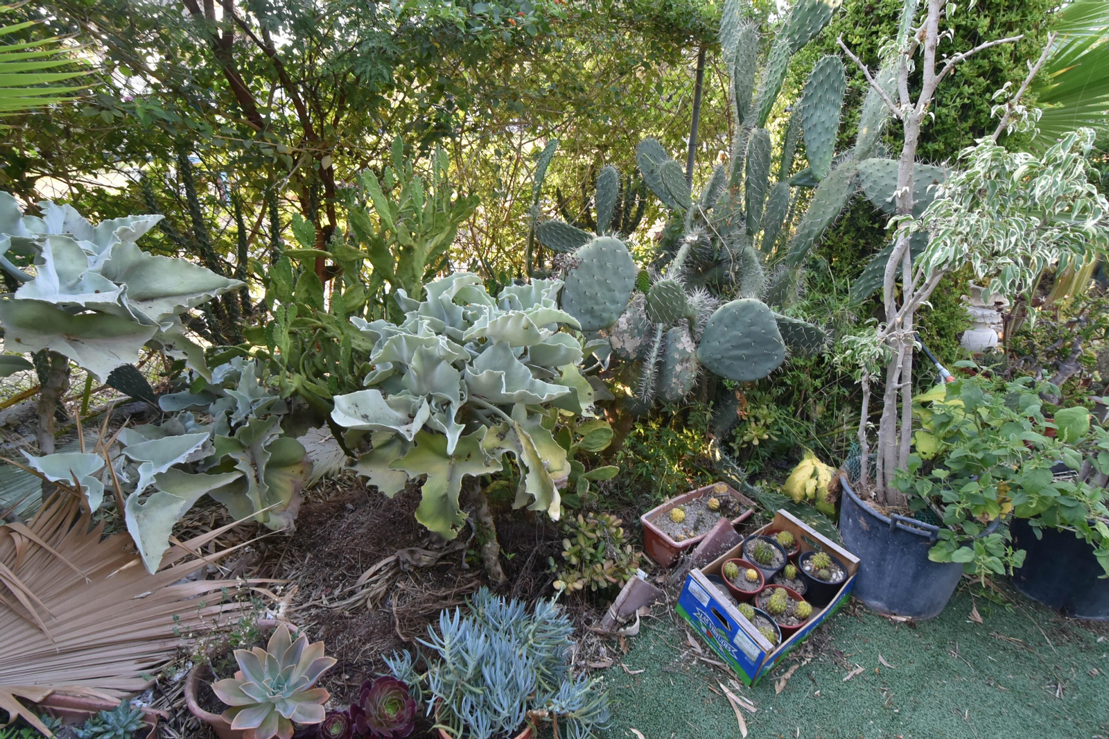 Un día en el Parque Princesa Sofía en La Línea