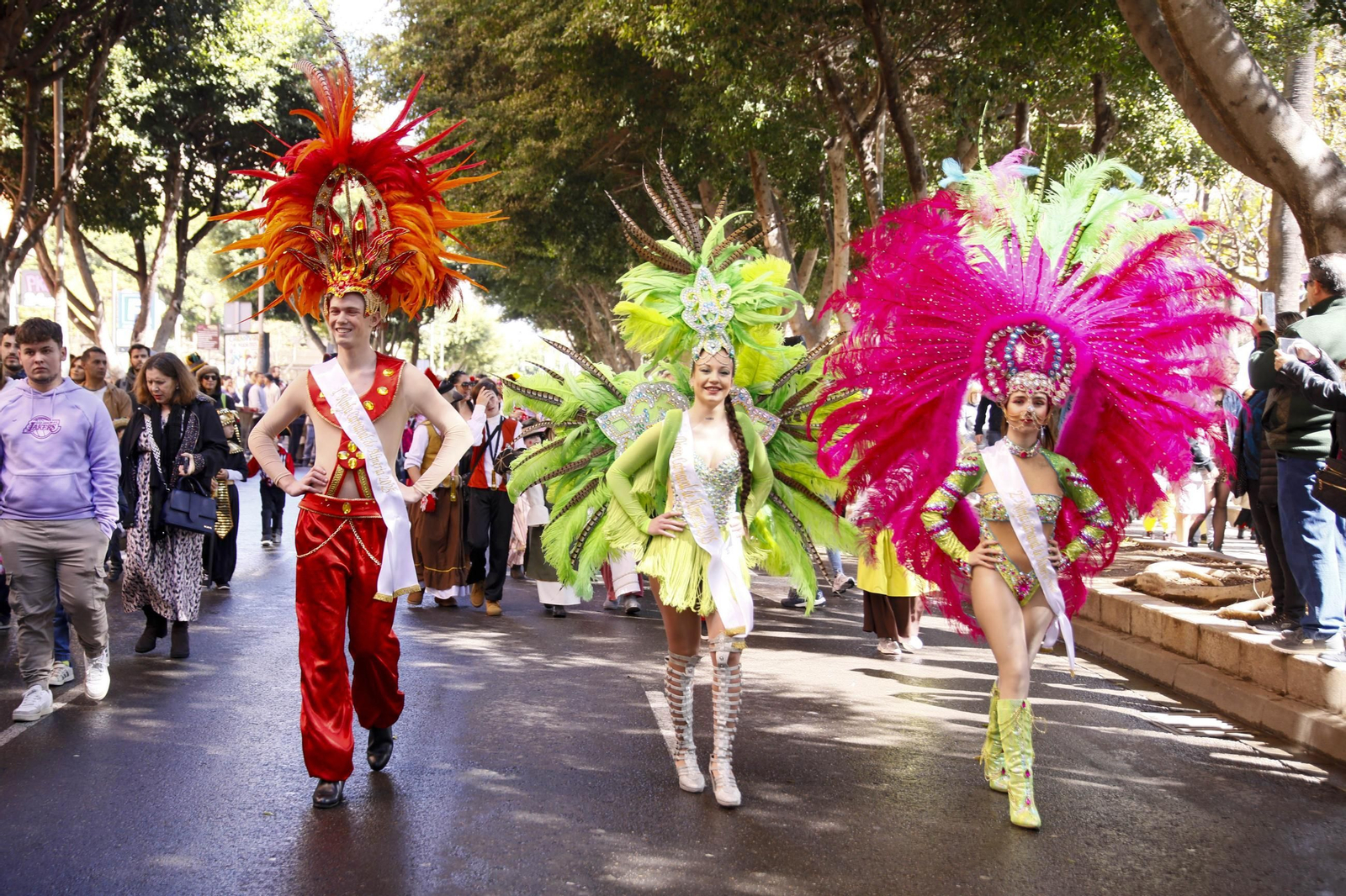 Las imágenes del entierro de la sardina en Almería