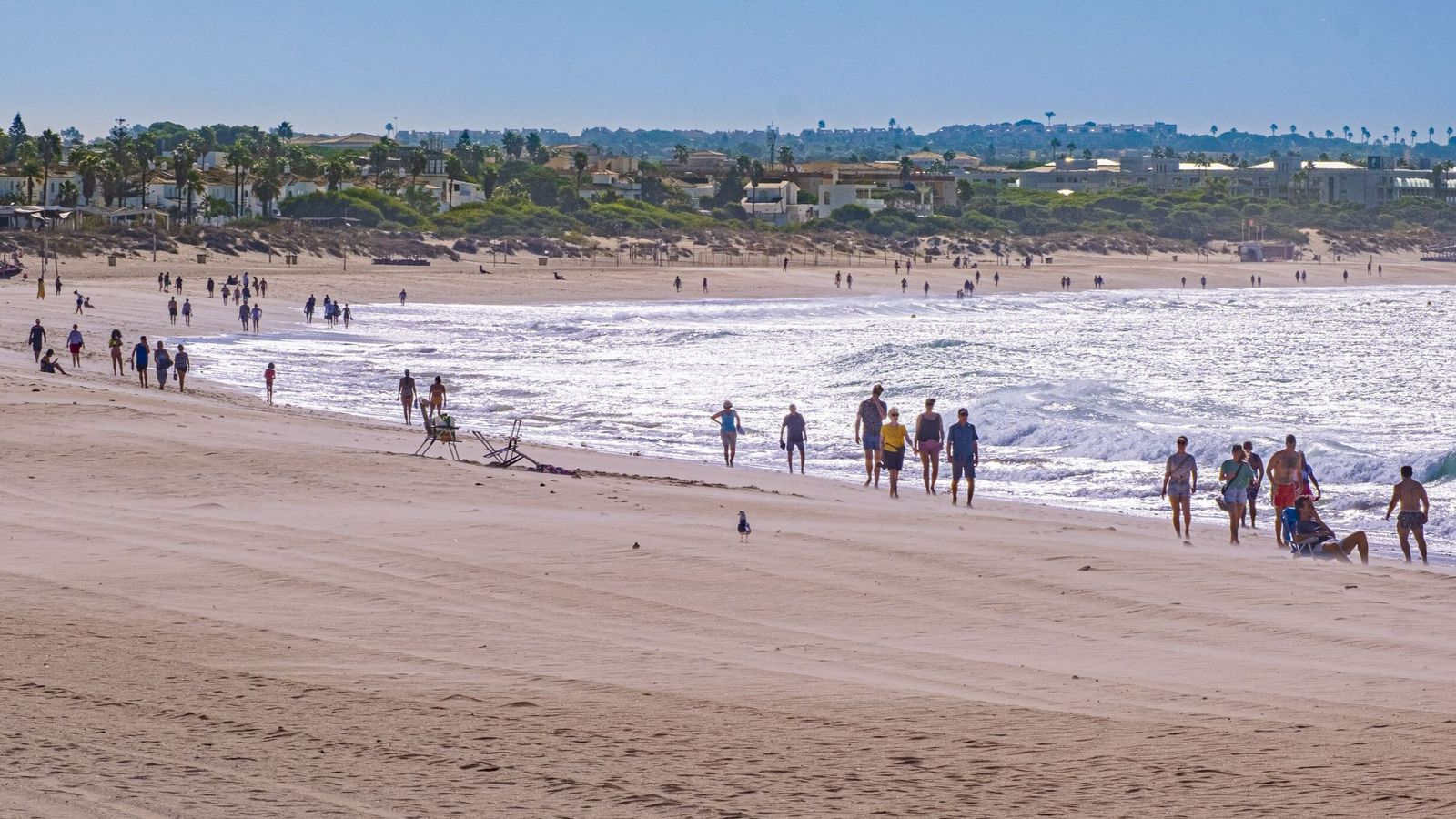 La playa de la Barrosa (Chiclana, Cádiz) es una de las amenazadas por el cambio climático
