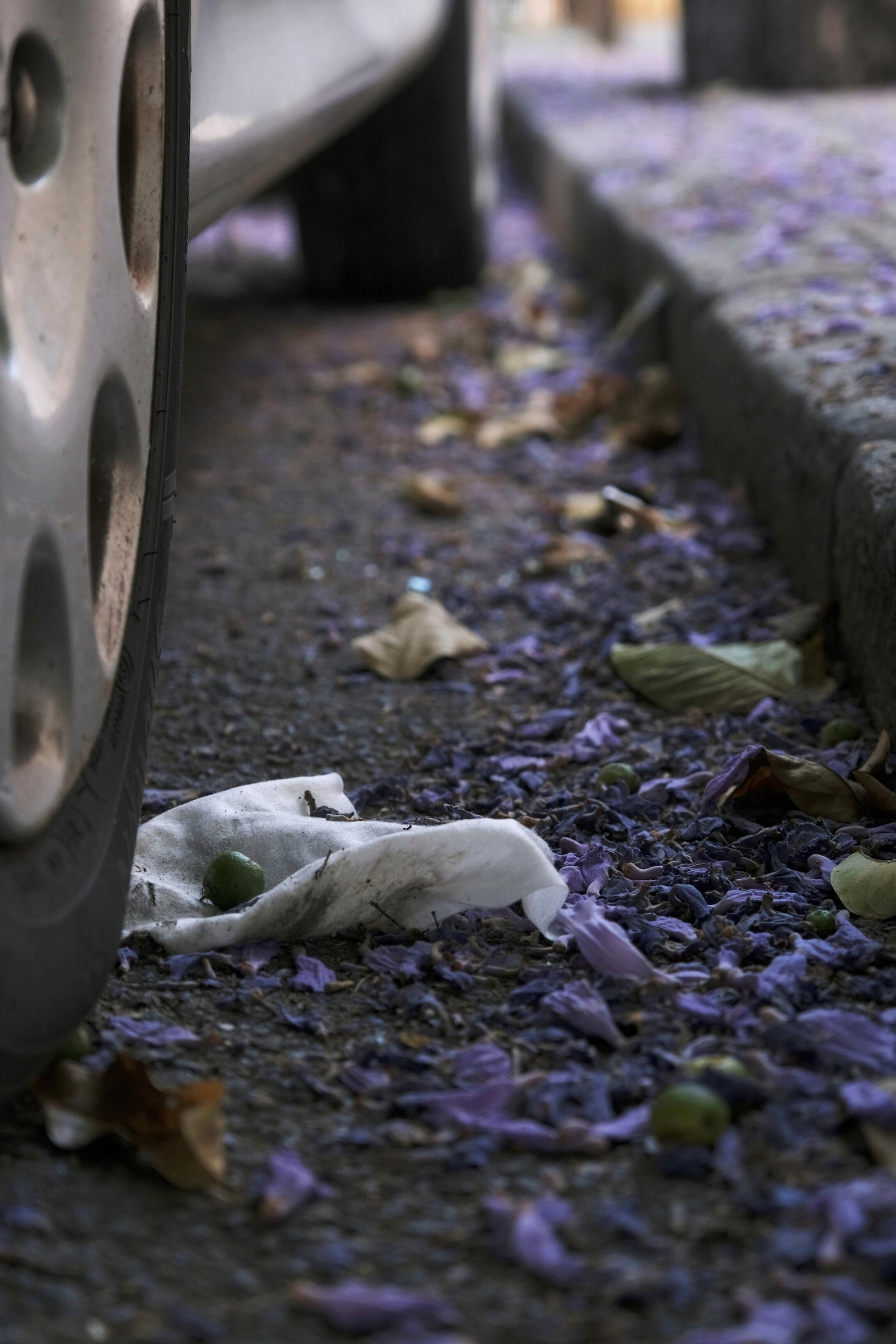 Basura en Nervión, en la calle Marqués de Nervión.