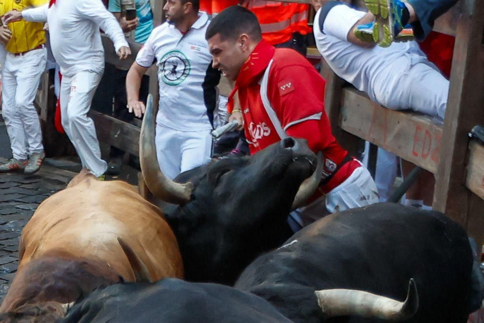 La bravura de Tarifa se hace notar en Pamplona: tres heridos en un encierro con toros de La Palmosilla