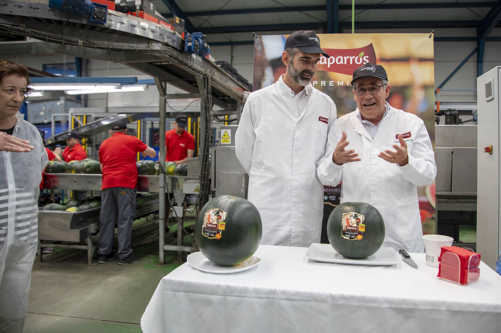 Vea cómo es el trabajo con las fantásticas sandías Premium en Grupo Caparrós