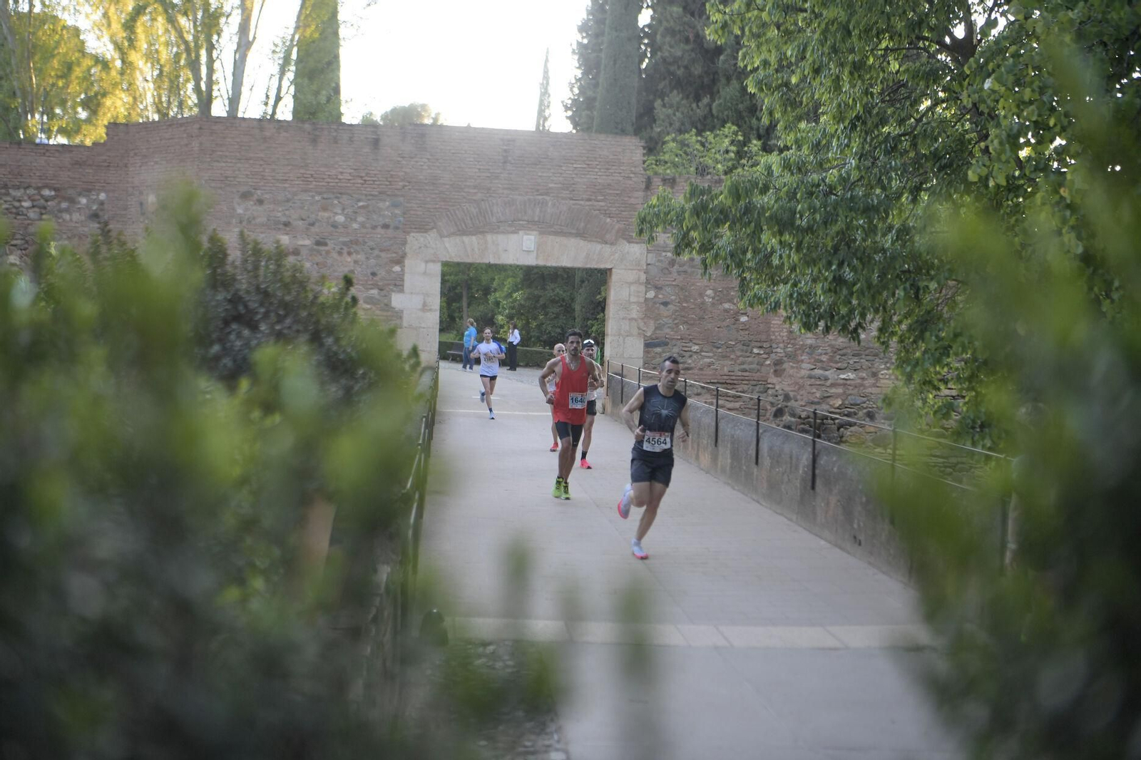 Encuéntrate en la Media Maratón Ciudad de Granada