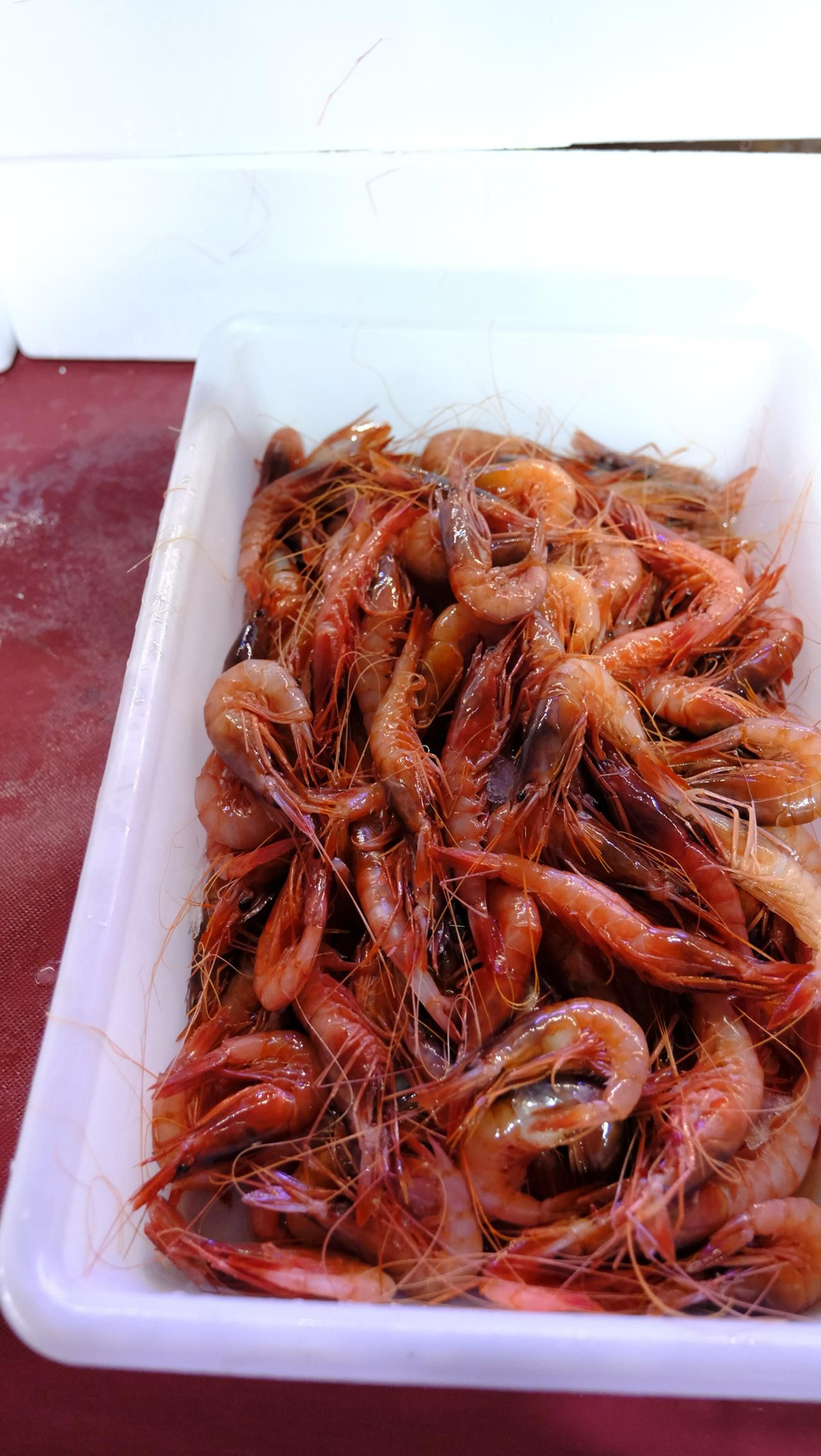 Fiesta de la Gamba Roja de Garrucha, en imágenes