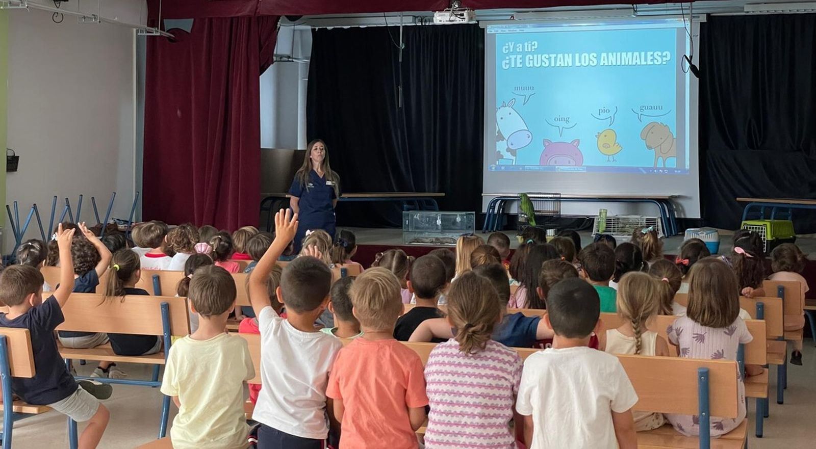 Los veterinarios de Sevilla enseñan a escolares  la tenencia responsable de animales de compañía