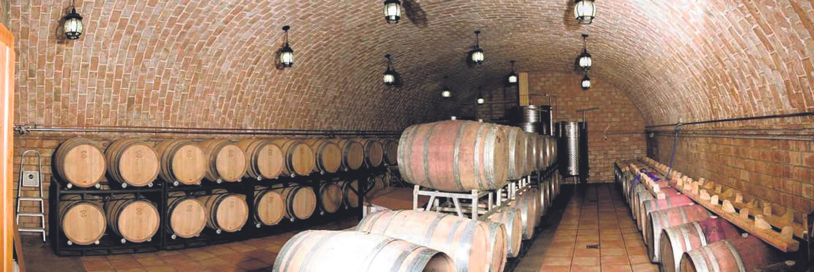 Bodega Dominio Buenavista de Ugíjar.