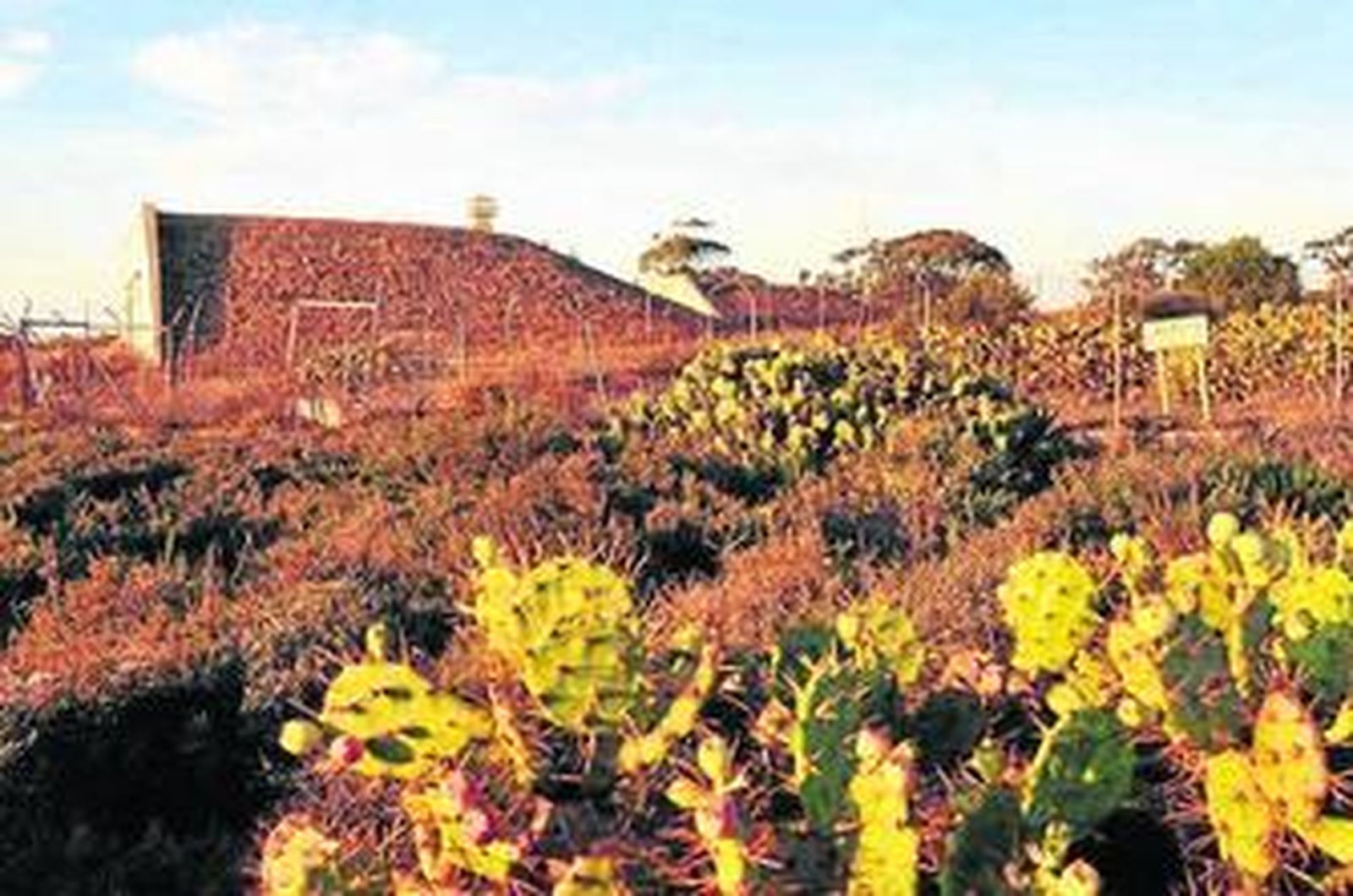 Terrenos de los polvorines de Fadricas.