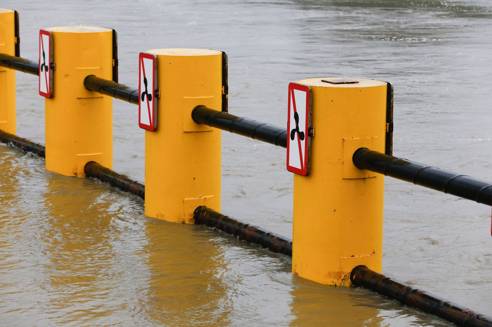 Fotos del temporal de lluvia y viento por la borrasca Kristin en el Campo de Gibraltar